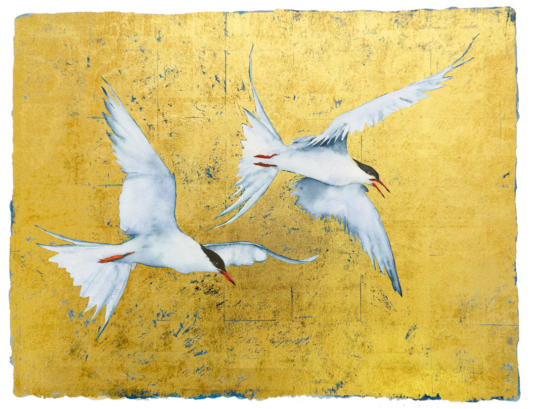 The Book of Birds - Tern