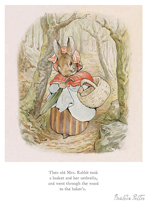 Mrs Rabbit took her basket