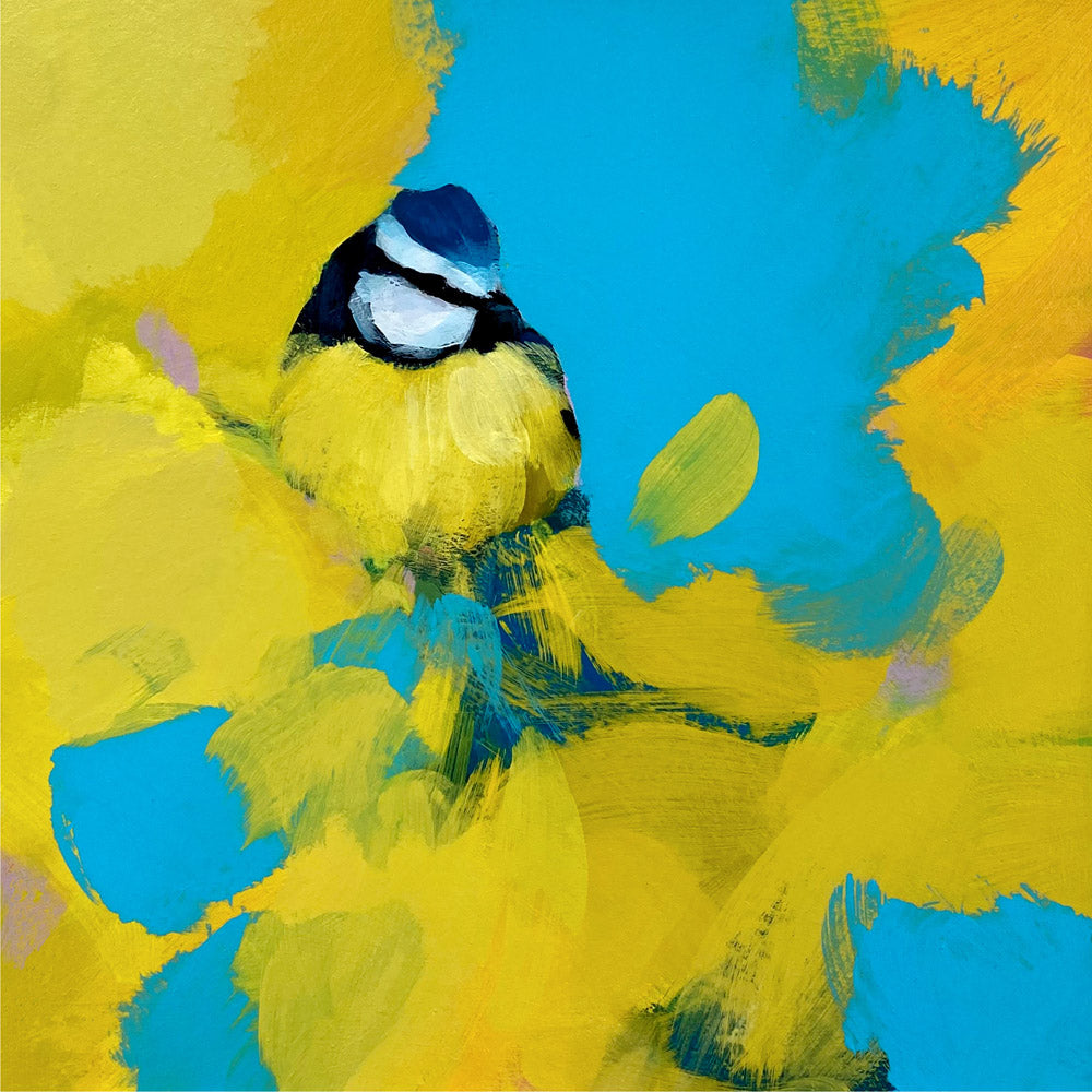 Blue Tit in yellow and blue