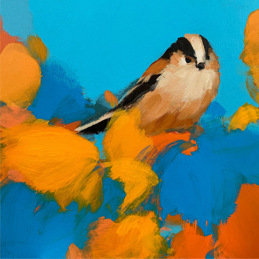 Long tail Tit in orange and blue