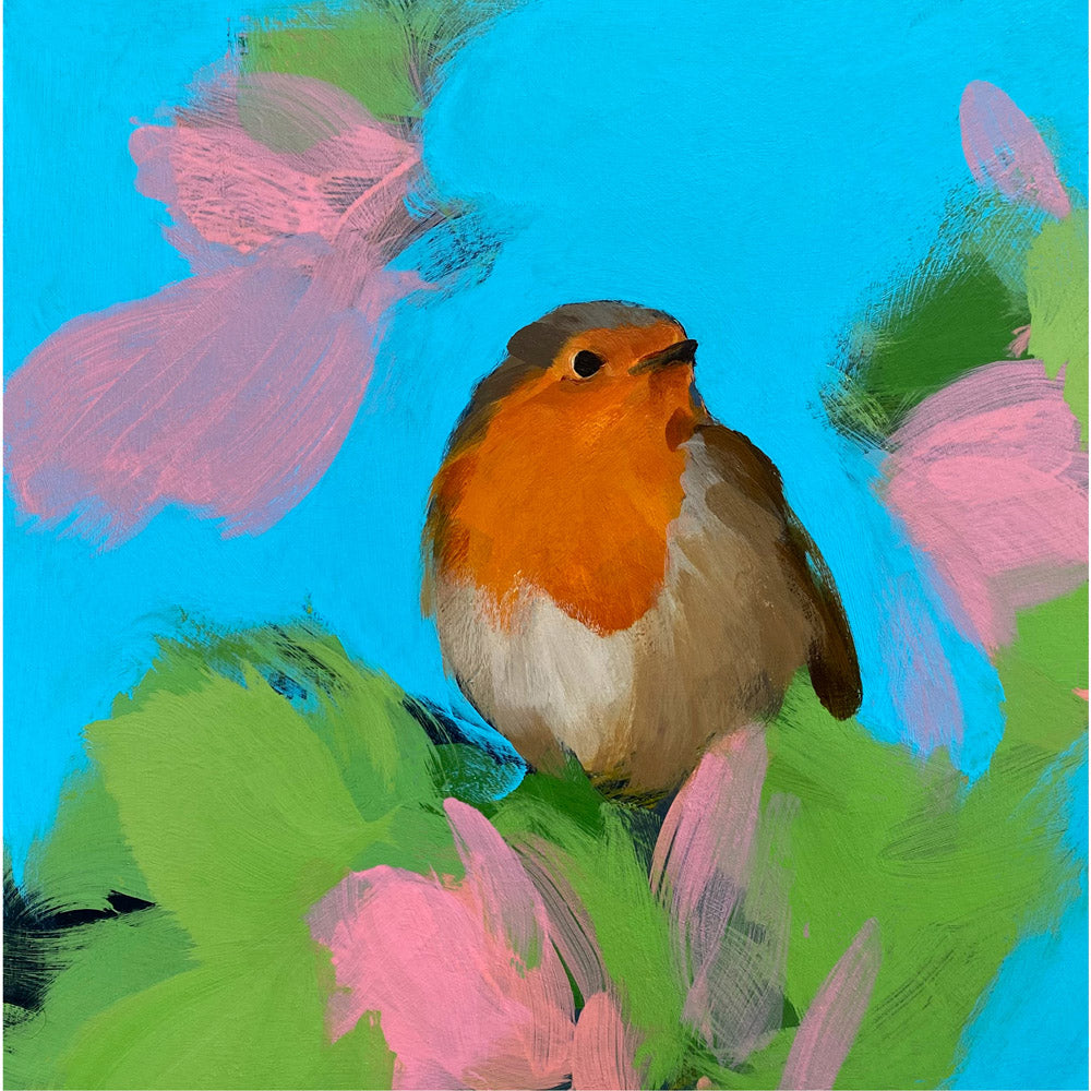 Robin in blue with pink