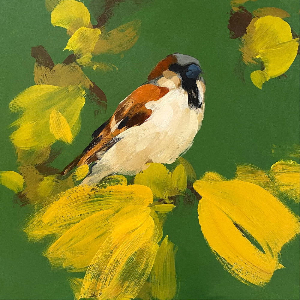 Sparrow in racing green and yellow