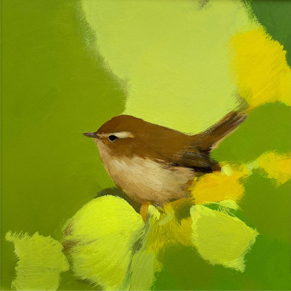 Chiff Chaff in lush greens