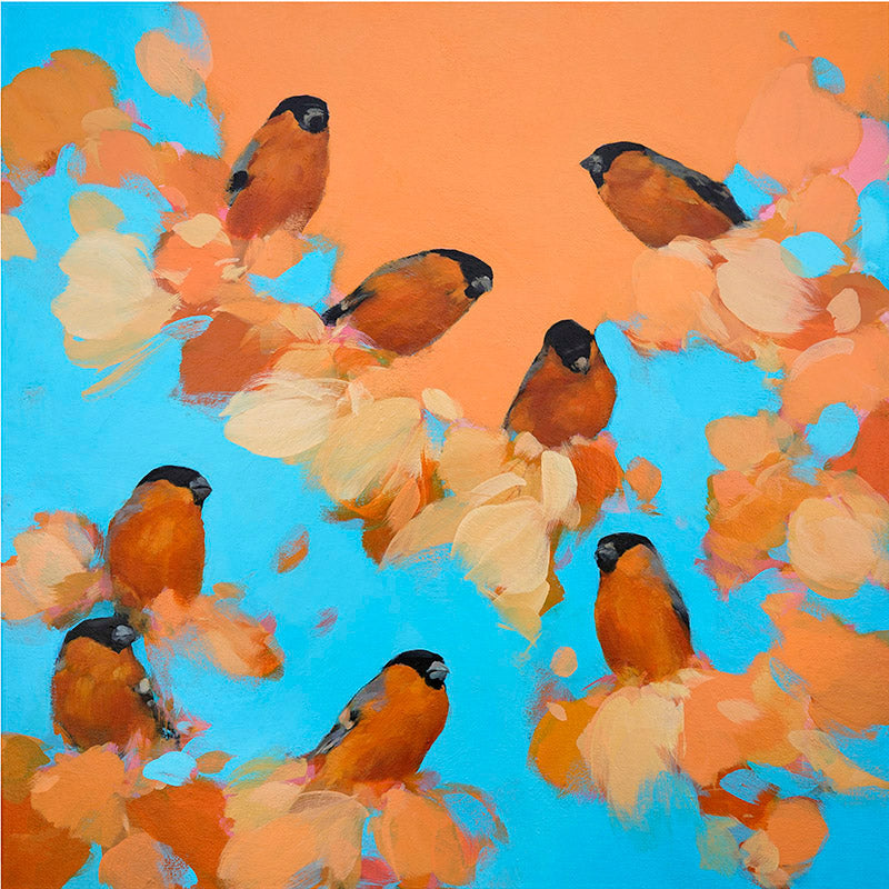 Bullfinches in orange