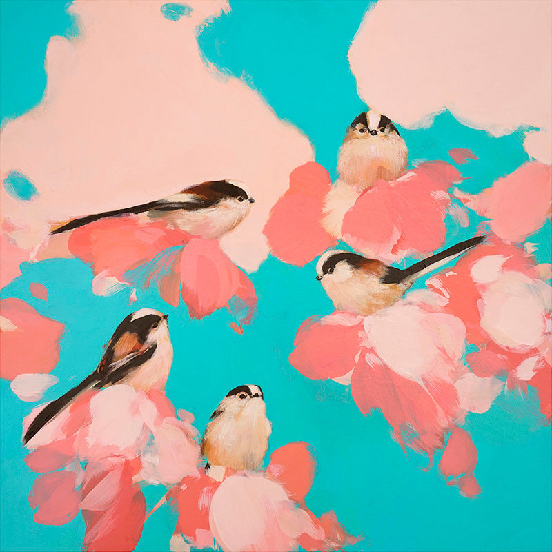 Long-tailed Tits in blue & pink