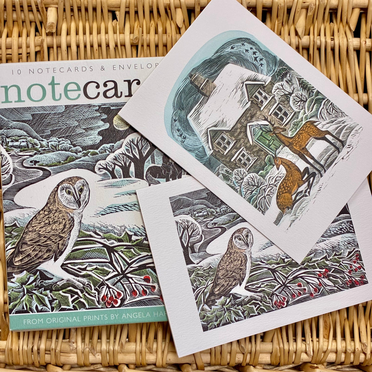 Owl Flight & Christmas Cottage