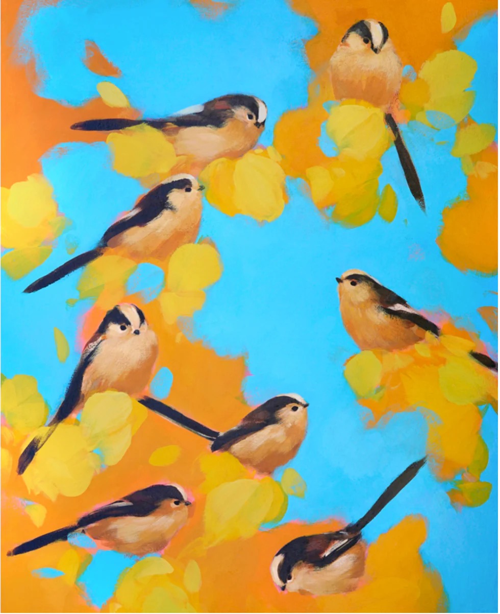 Long-tailed Tits in orange