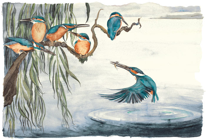 The Lost Words...Kingfishers