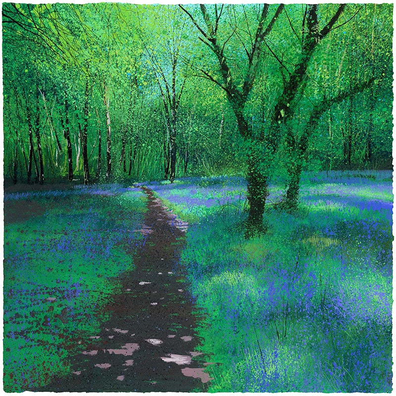 Walking Through the Woods