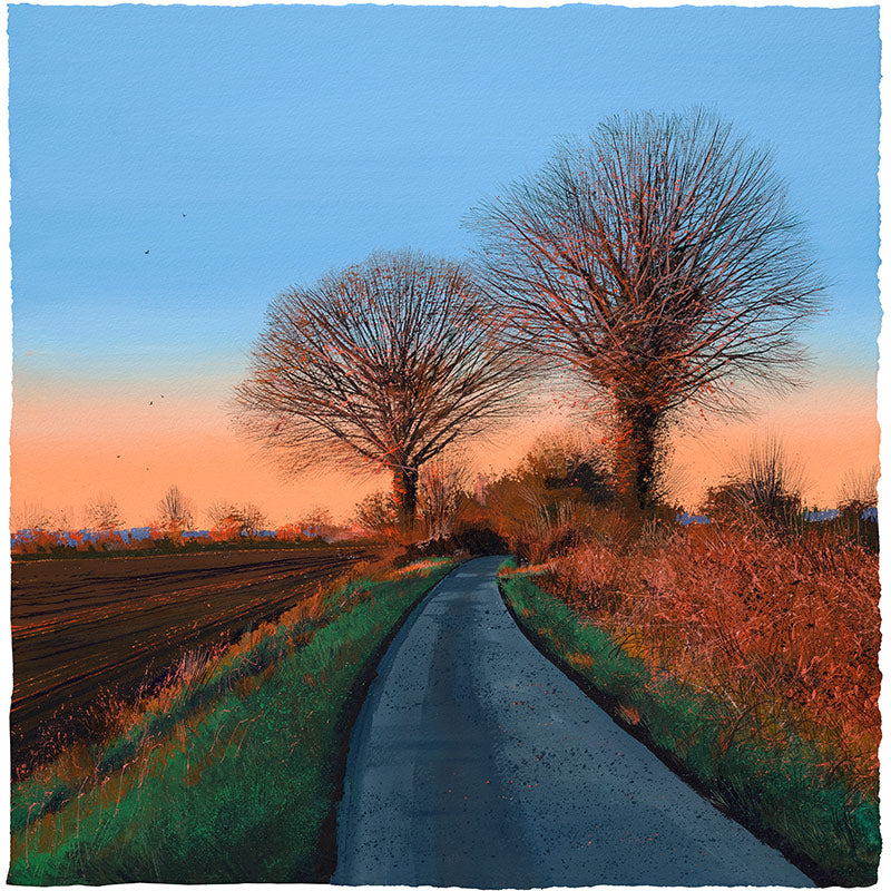 Sunset Lane