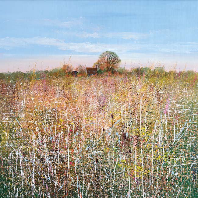 Wild summer meadow by Paul Evans