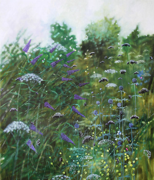 Summer Haven