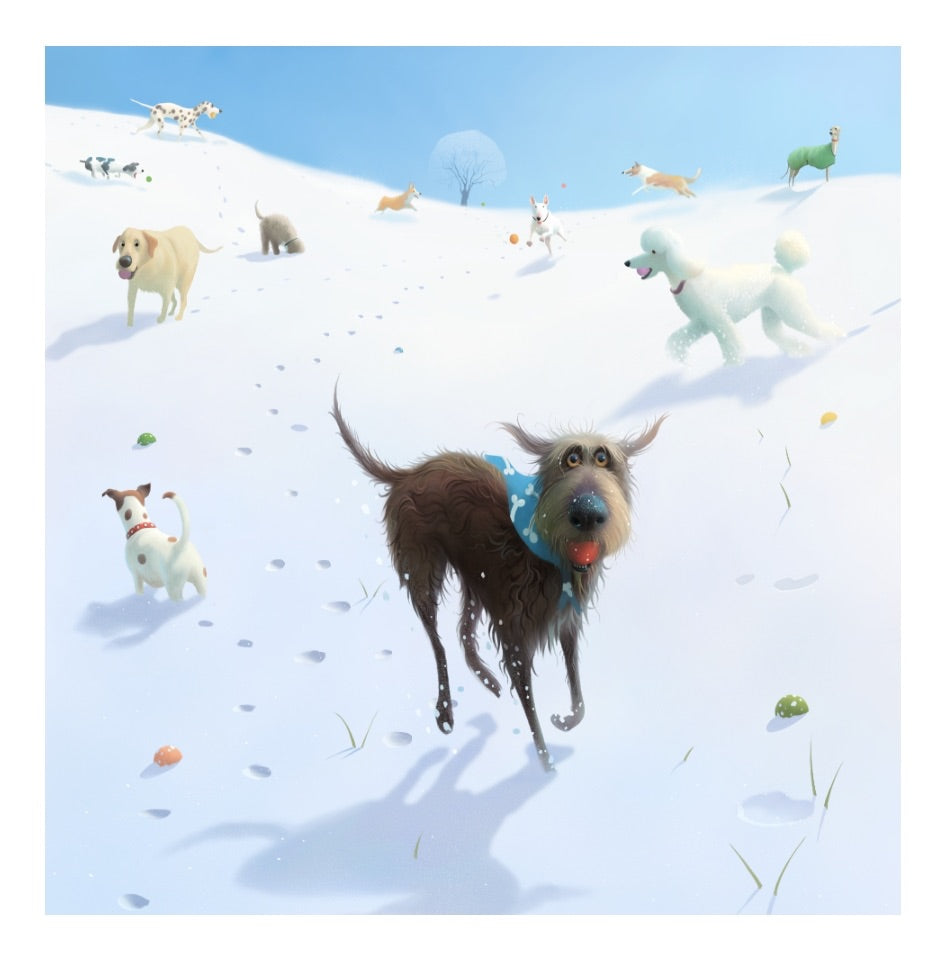 Snow Balls