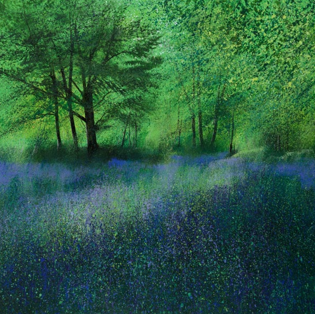 Secret Bluebells