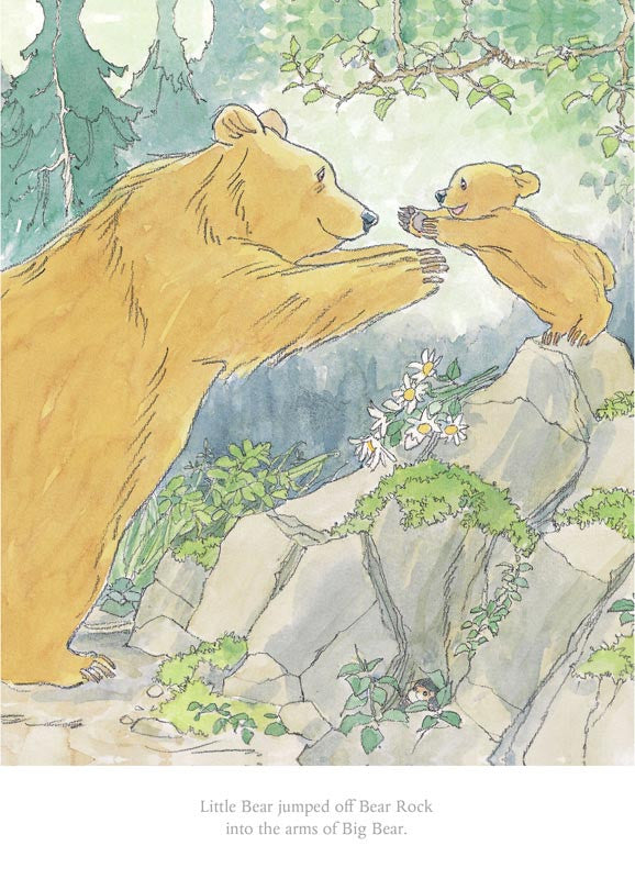 Barbara Firth - Little Bear jumped off Bear Rock