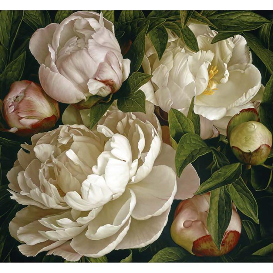 Peony Gardenia