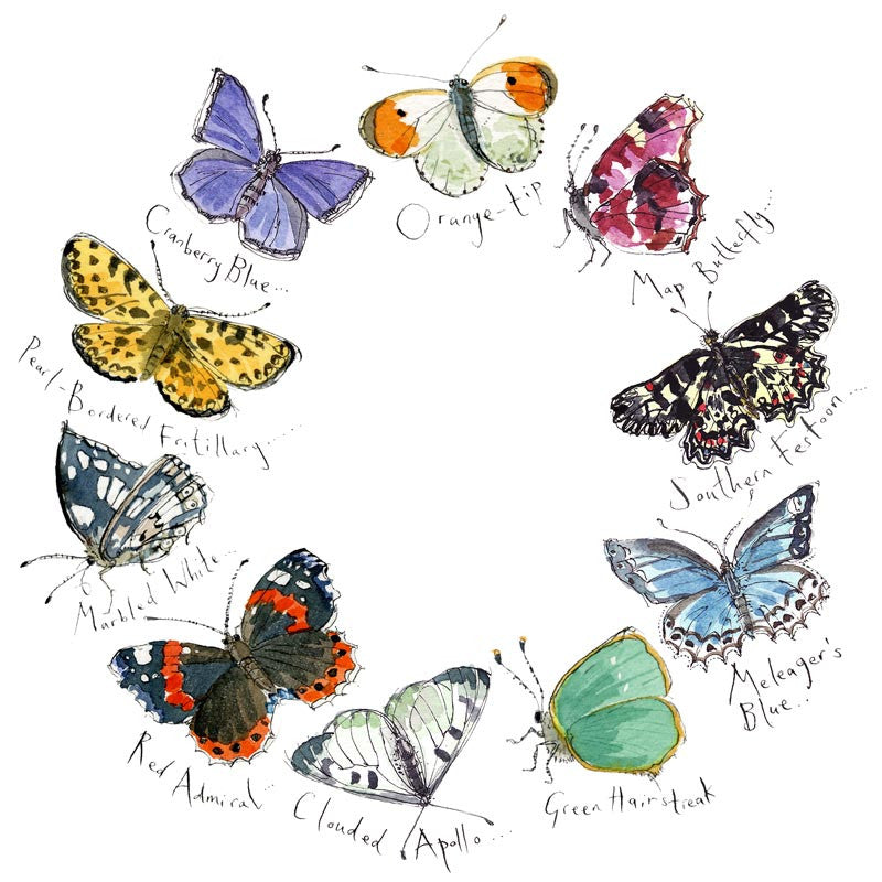 Madeleine Floyd - Butterflies 1