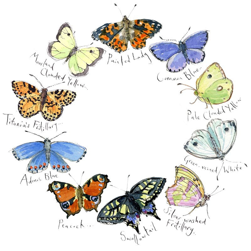 Madeleine Floyd - Butterflies 2