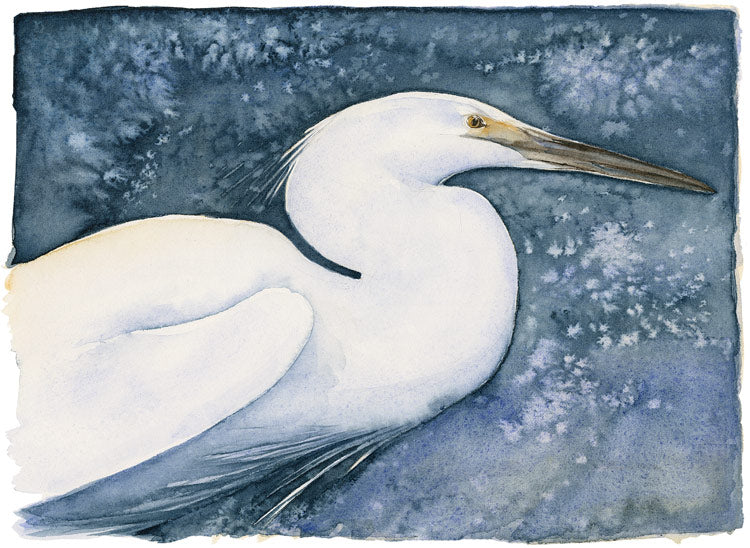 Lost Spells - Little Egret - Jackie Morris & Robert MacFarlane