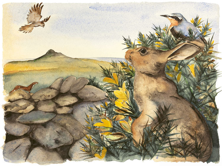 Gorse - Lost Words - Jackie Morris & Robert MacFarlane