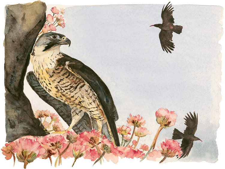 Lost Spells - Thrift - Jackie Morris & Robert MacFarlane