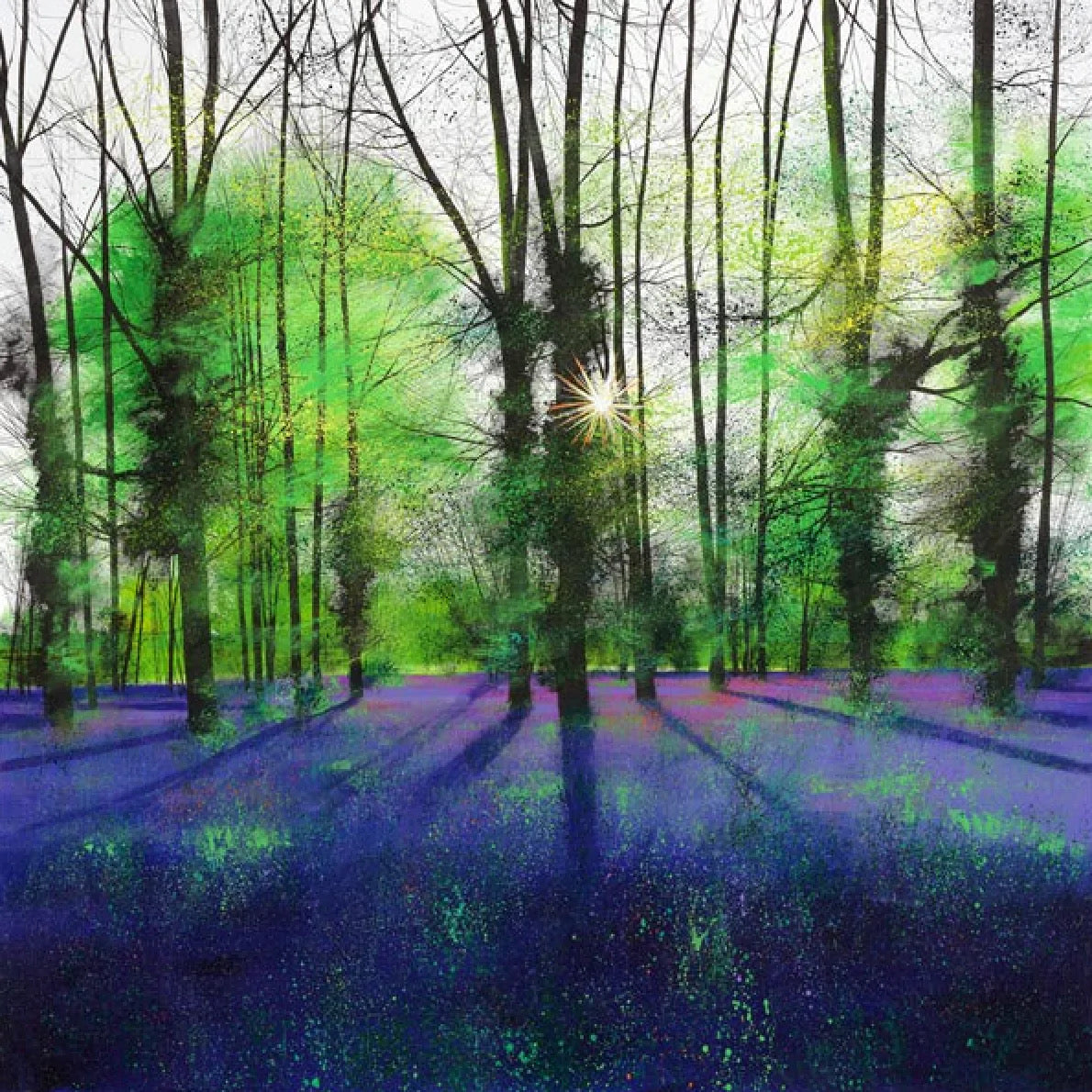 Sunburst and Bluebells