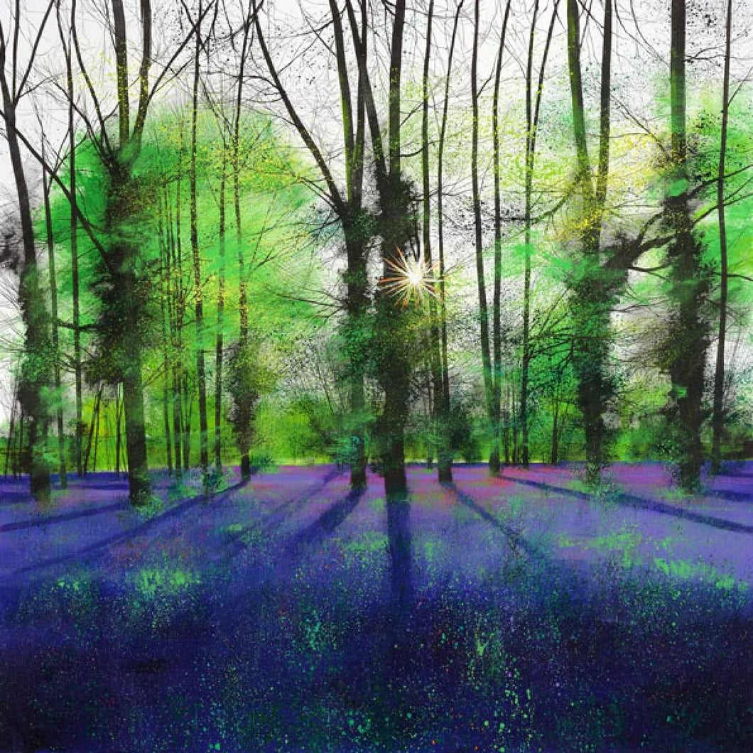 Sunburst and Bluebells