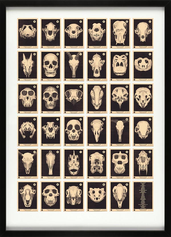 Skulls A to Z