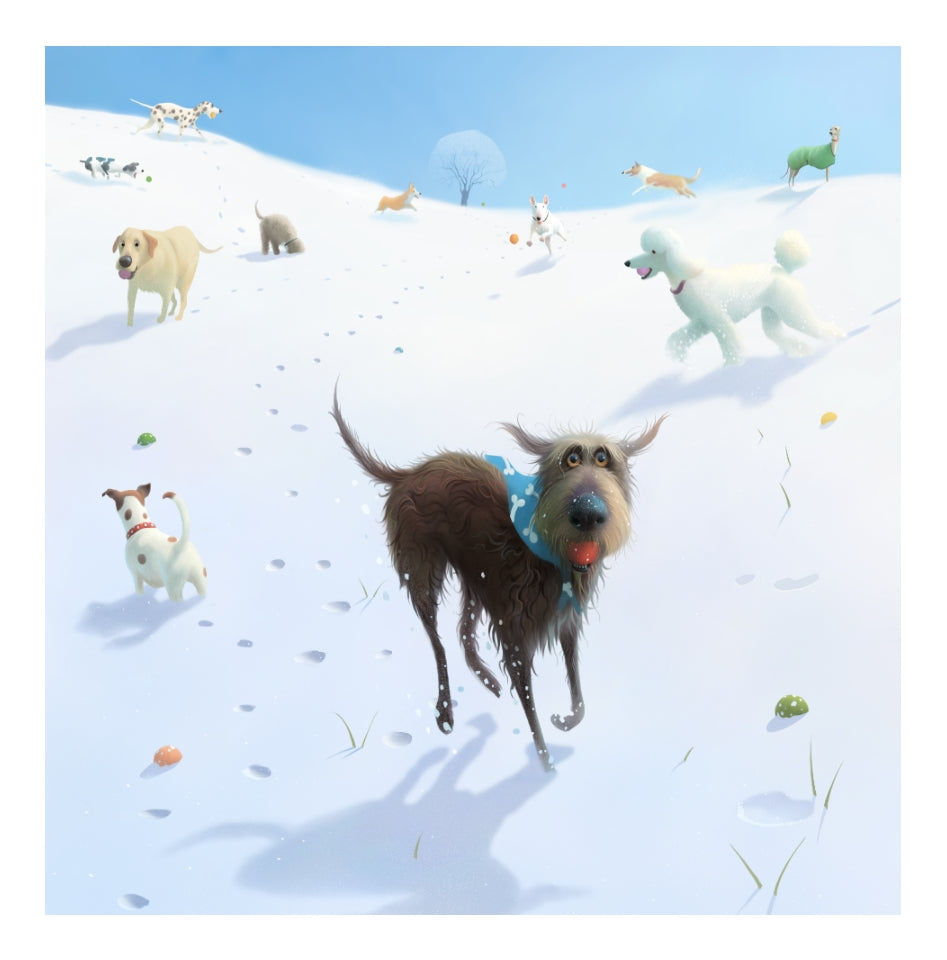 Snowballs by Stephen Hanson