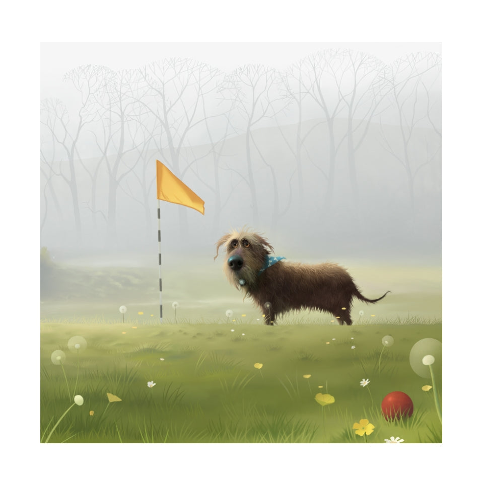 The Wrong Ball by Stephen Hanson